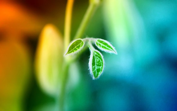 new-life